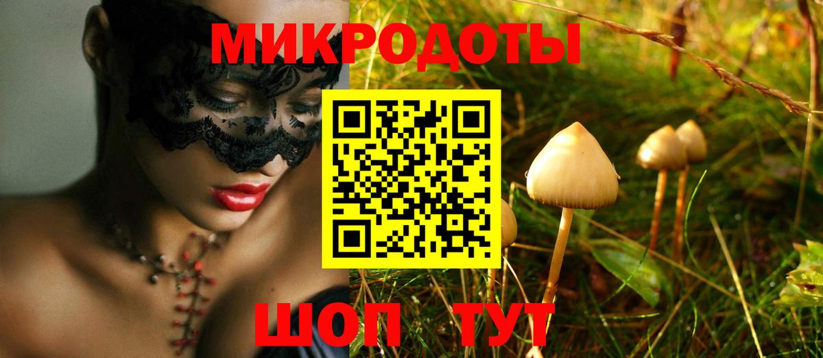 наркота  Галлюциногенные грибы MAGIC MUSHROOMS  Вход с VPN  Галлюциногенные грибы Psilocybe  Удомля 
